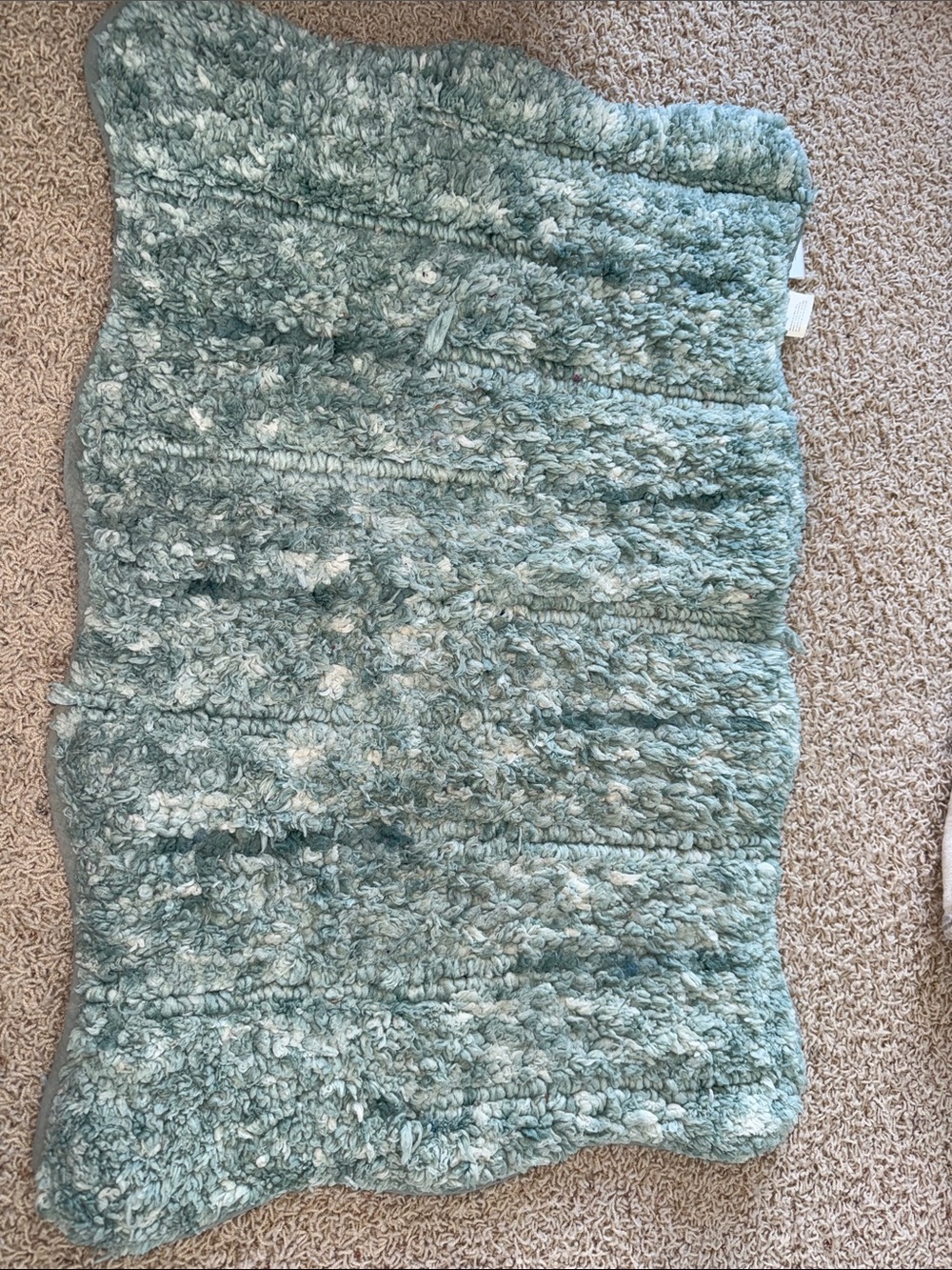 Plush Shaggy Area Rug in Seafoam Green